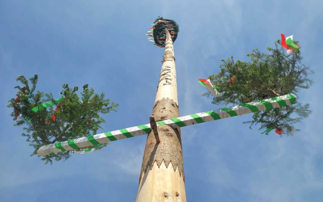 Florianisonntag und Maibaumaufstellen