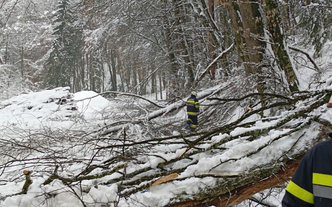 Unwettereinsatz Februar 2026